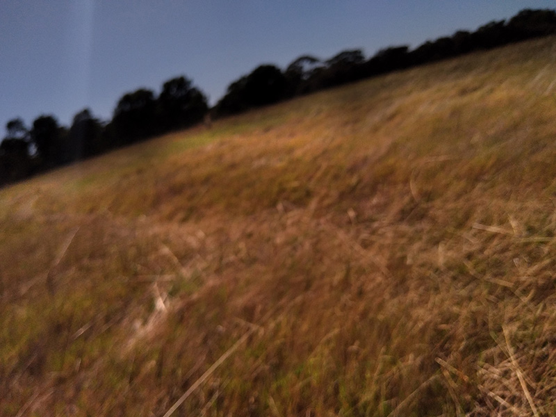 Photograph of Circular Grass Field